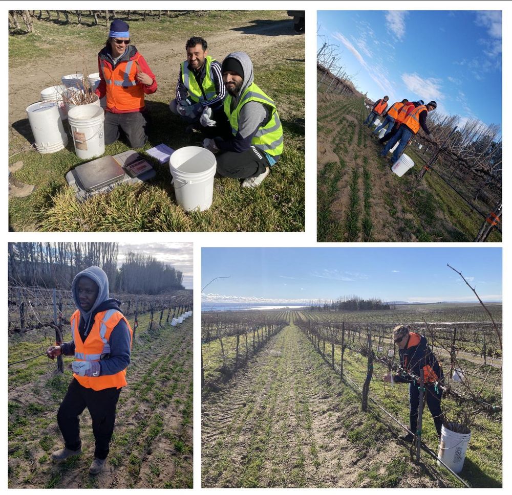 Field campaign photo 6