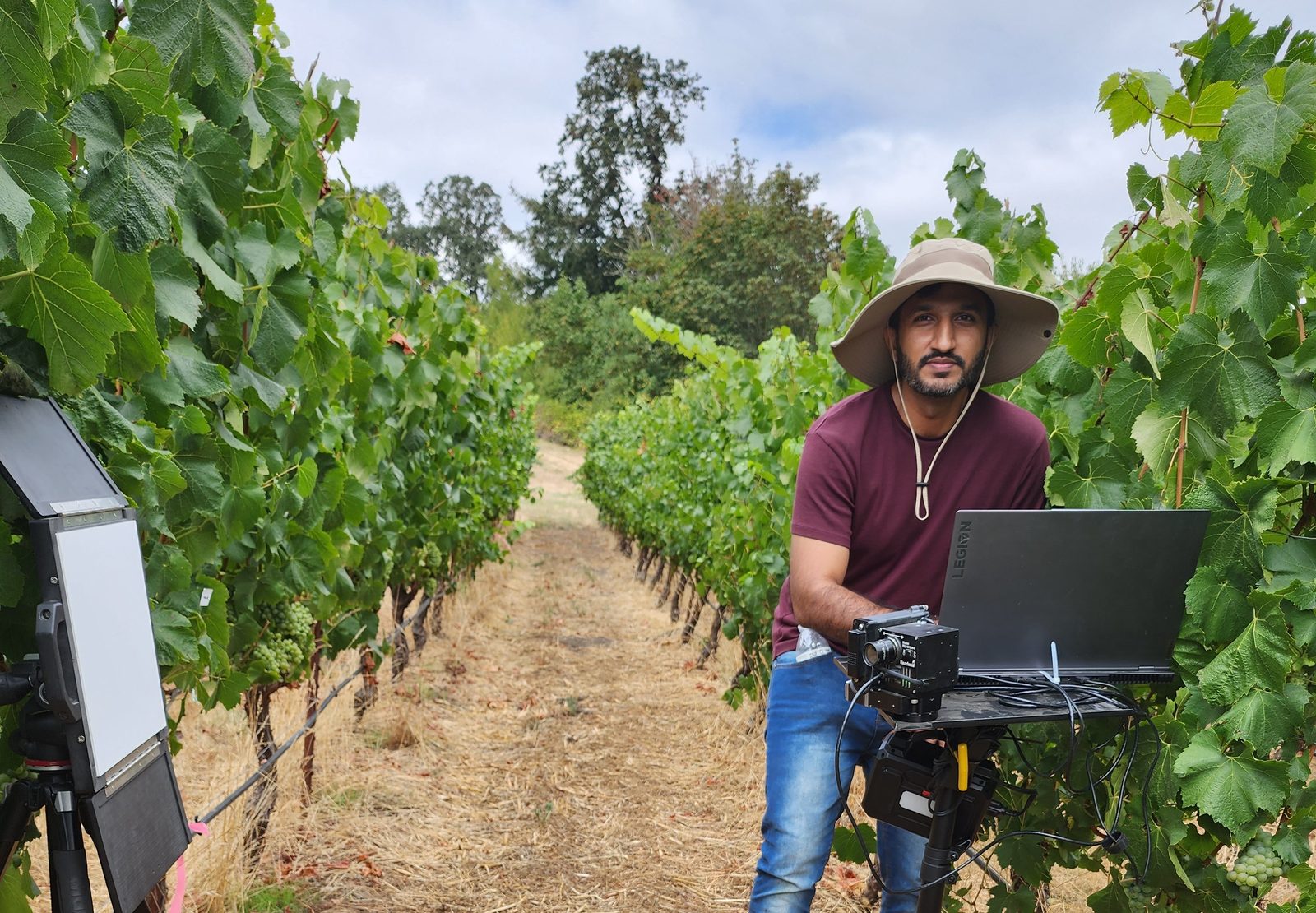 Atif Bilal Asad operating a hyperspectral imaging rig in a vineyard