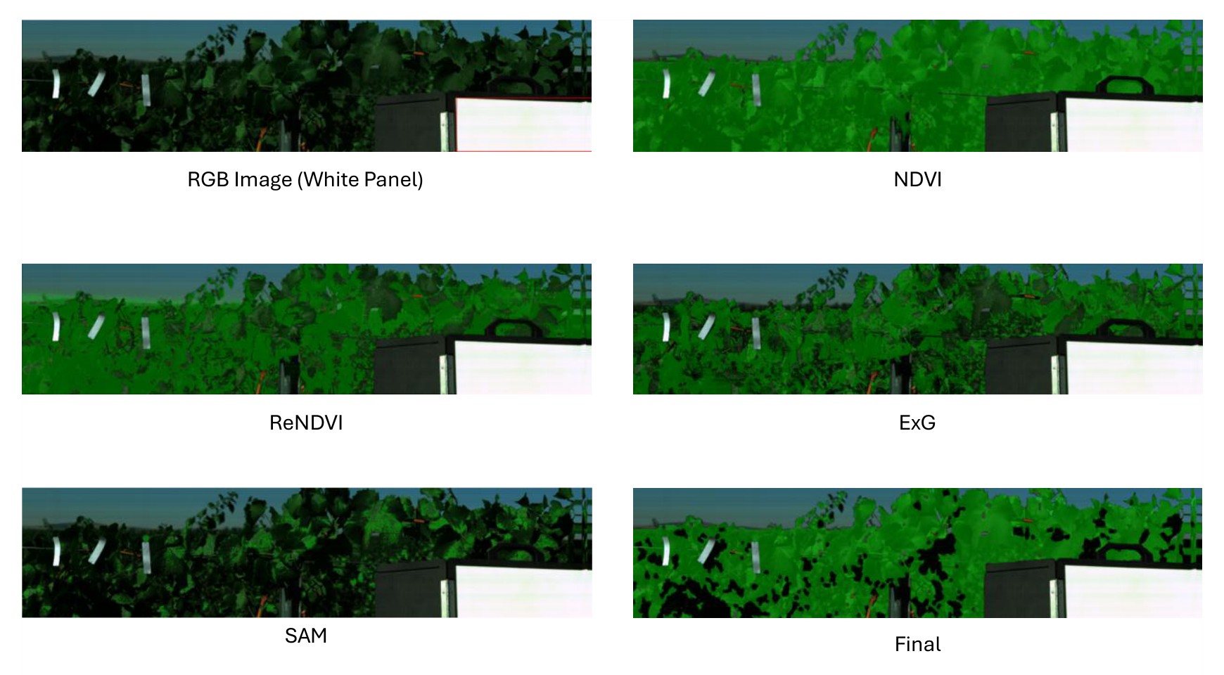 Canopy vegetation-index segmentation (NDVI, NDRE, ExG, SAM)