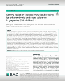 Preview: gamma radiation grapevine paper
