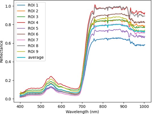 Canopy-level reflectance spectra from nine ROIs