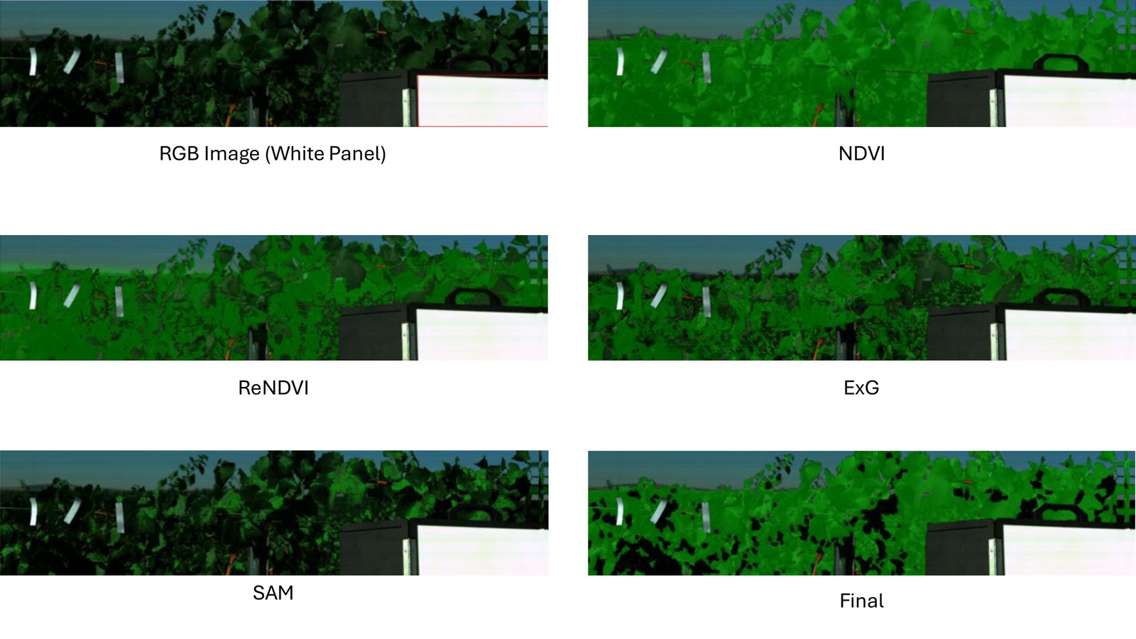 Unsupervised leaf segmentation (NDVI, ReNDVI, ExG, SAM)