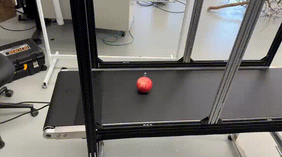 Hyperspectral platform scanning in motion (video)