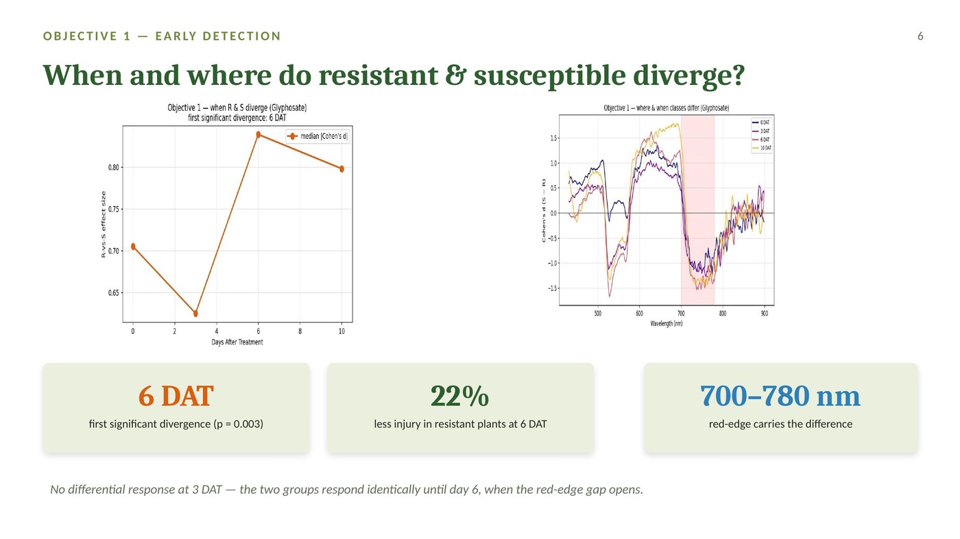 Results: resistant vs. susceptible plants diverge at 6 days after treatment