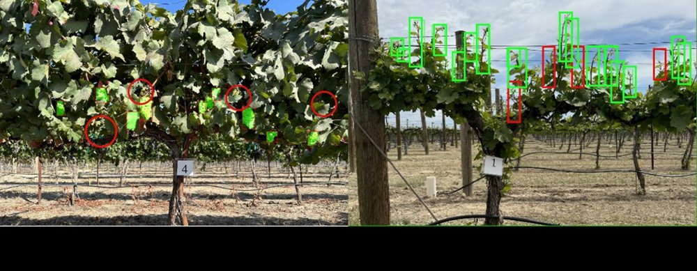 Detection results and missed detections